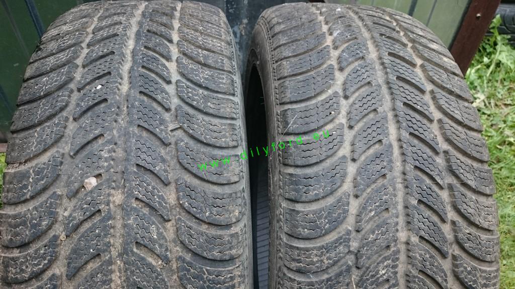 205/55 R16 Sava Eskimo S3