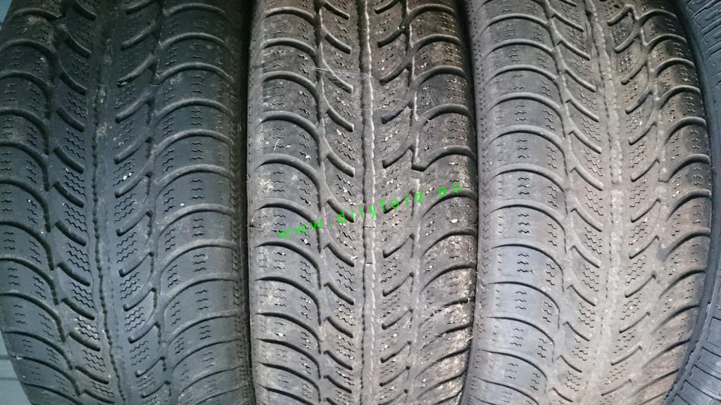 195/65 R15 Sava Eskimo S3